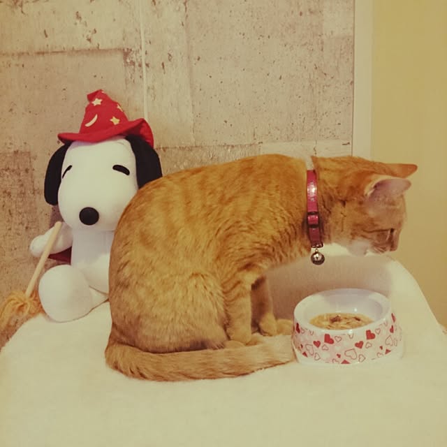 fu-ka24さんの実例写真