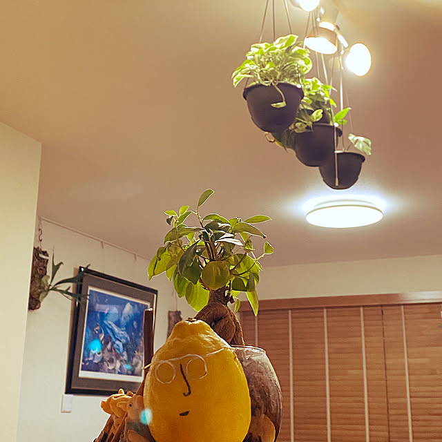 kaorinさんの実例写真