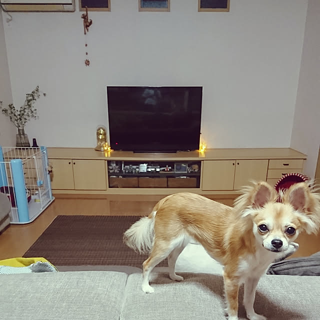 nattimomoさんの実例写真
