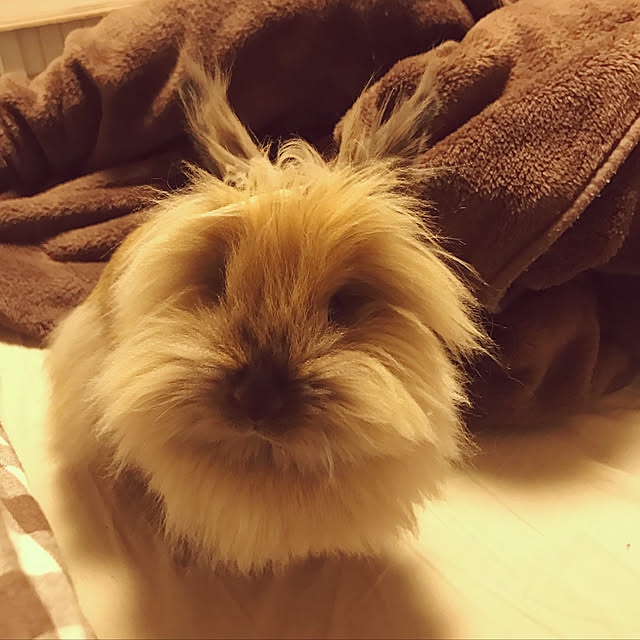 mさんの実例写真