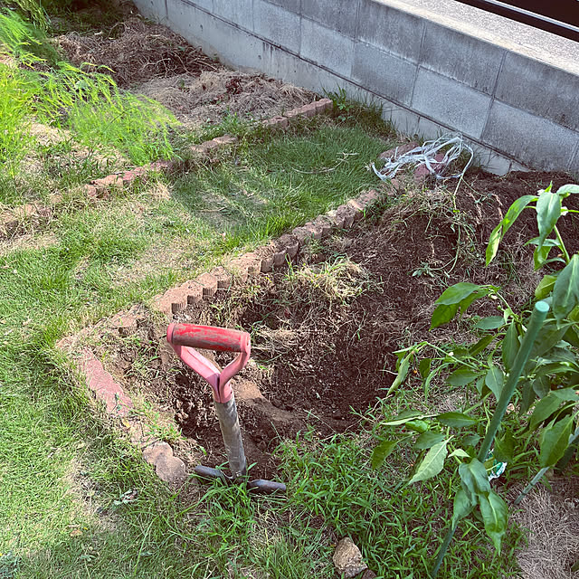 seiさんの部屋