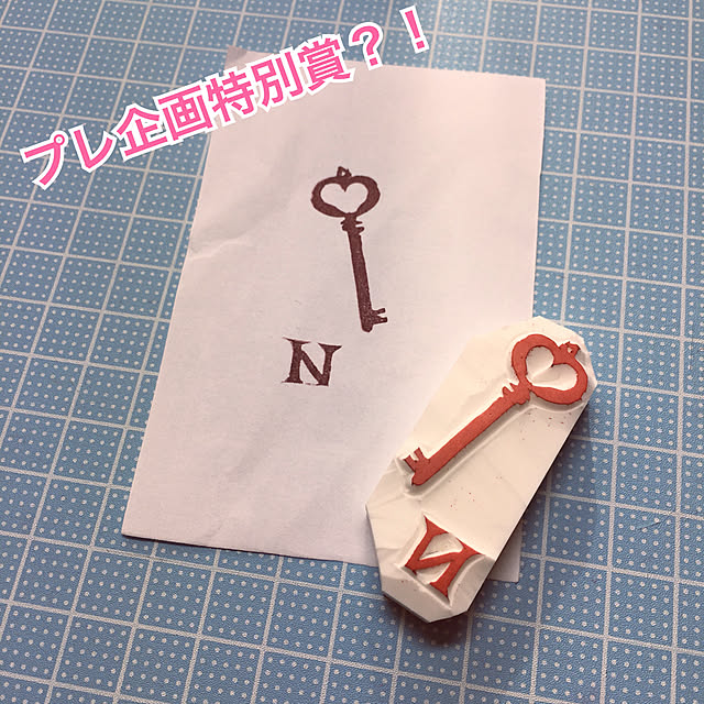 ray55さんの実例写真