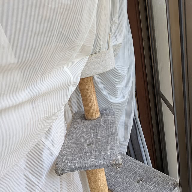 asaさんの部屋