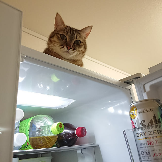 maikyさんの実例写真