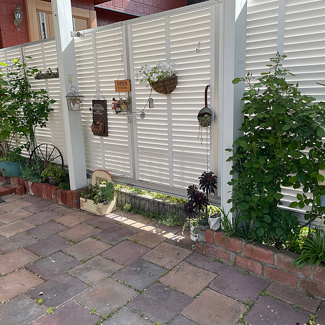 yoko_petitbonheurさんの部屋