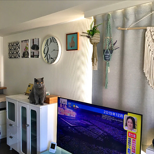 kittyさんの実例写真