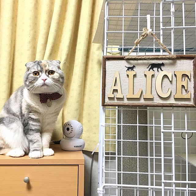 naosanさんの実例写真