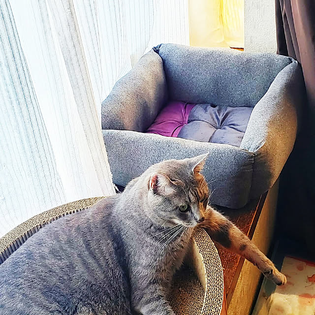 kiraさんの実例写真