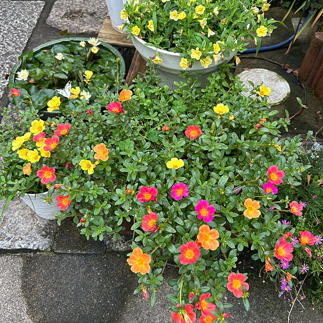 fumikoiさんの部屋