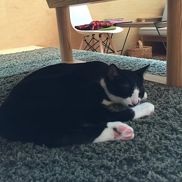 kachumomoさんの実例写真