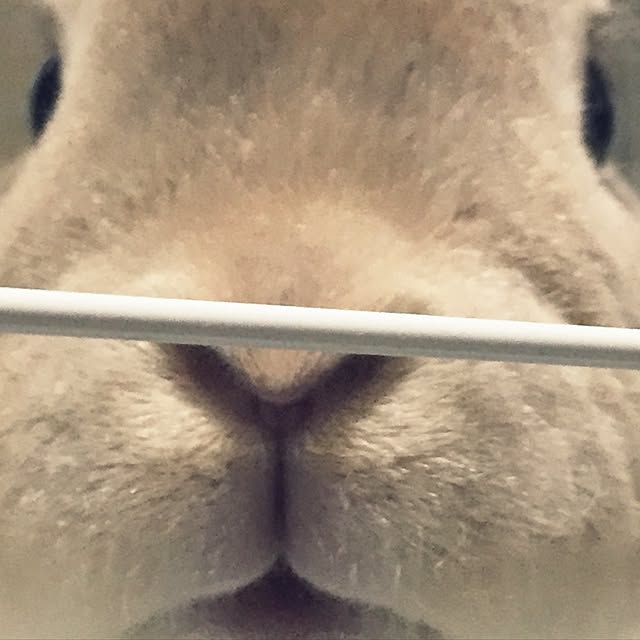 fruity anさんの実例写真