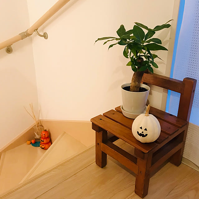 sikiさんの実例写真