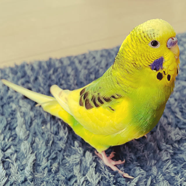 kyonさんの実例写真