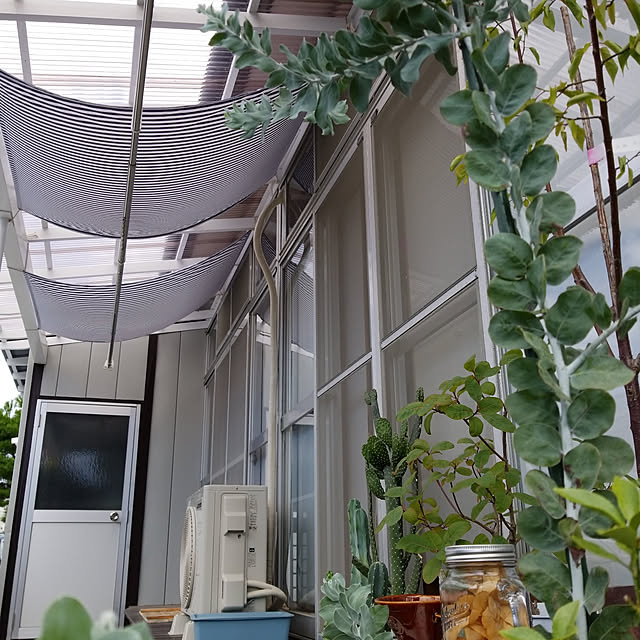 ranaさんの実例写真