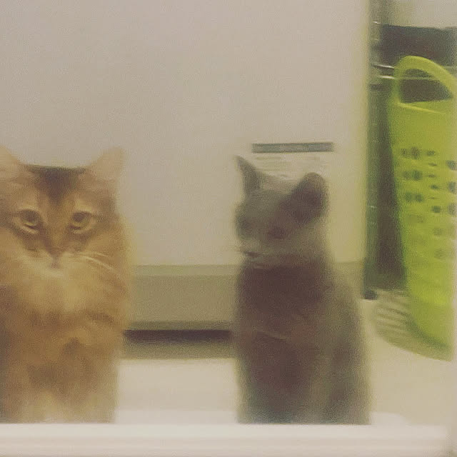 meさんの実例写真
