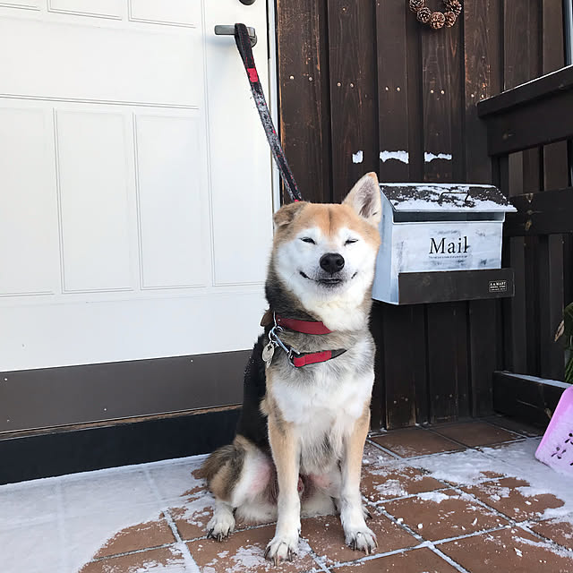 tomomi_kuranさんの実例写真