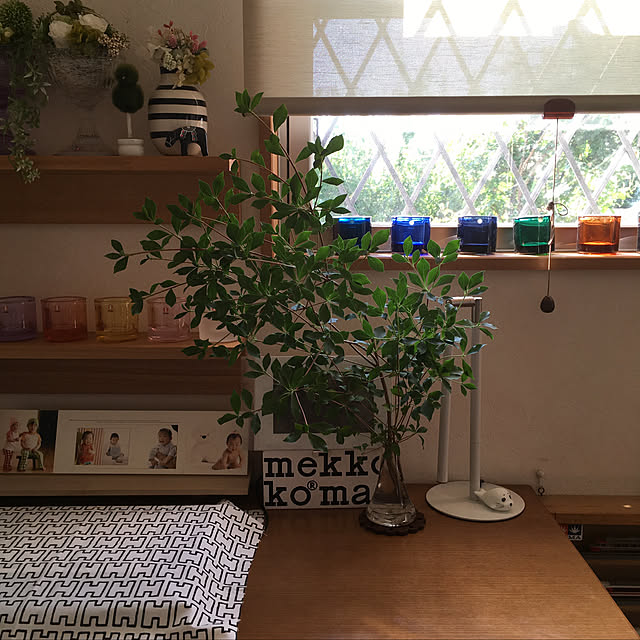 実例写真