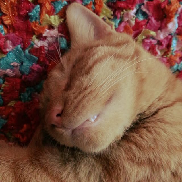 sumisumiさんの実例写真