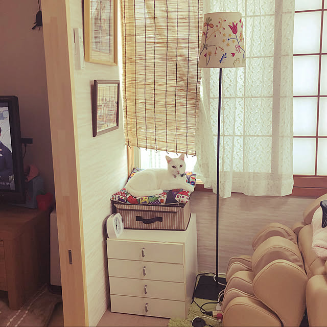 moyuhiさんの実例写真