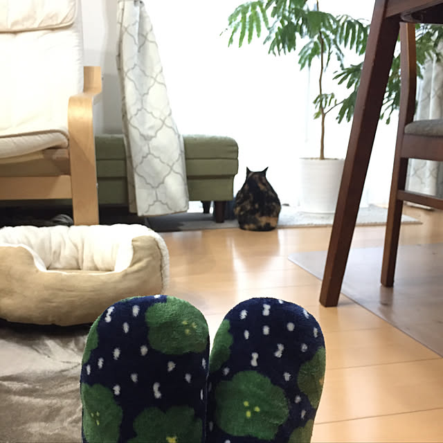 meguchiyoさんの実例写真