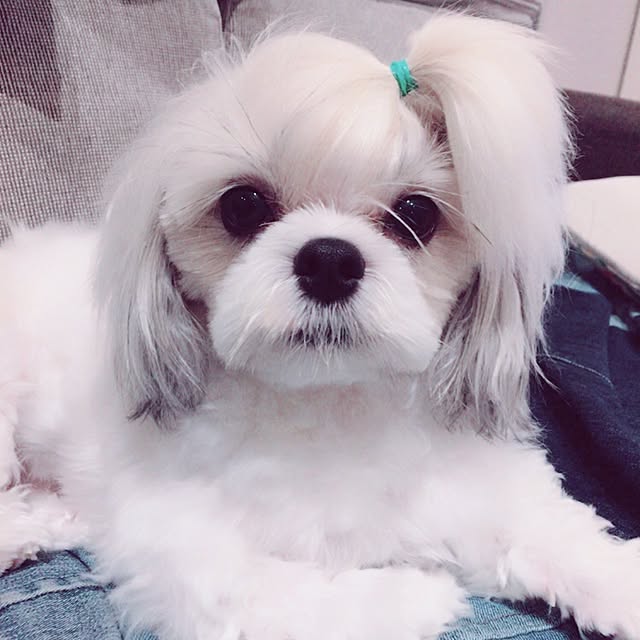 JASMINEさんの実例写真