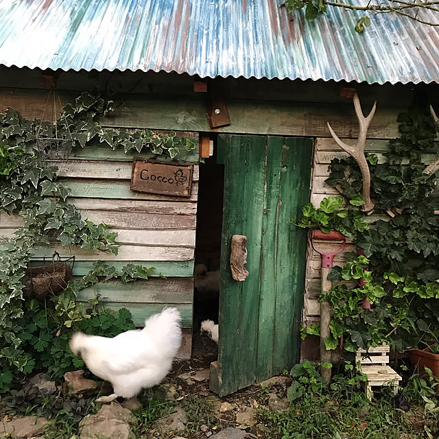 pepeさんの実例写真