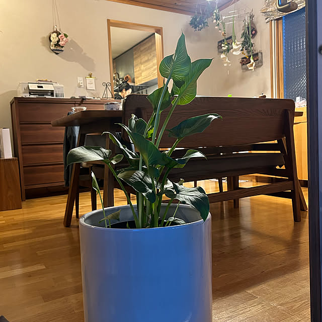 botanさんの部屋