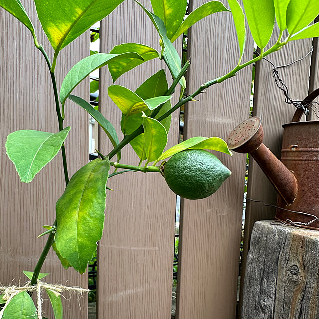 tabasaさんの部屋