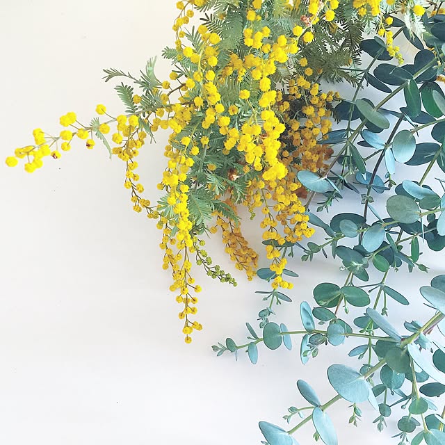akika_naturalhomeさんの実例写真