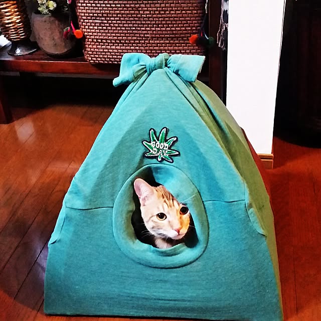 kichiさんの実例写真