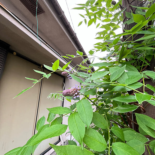mayumiさんの部屋