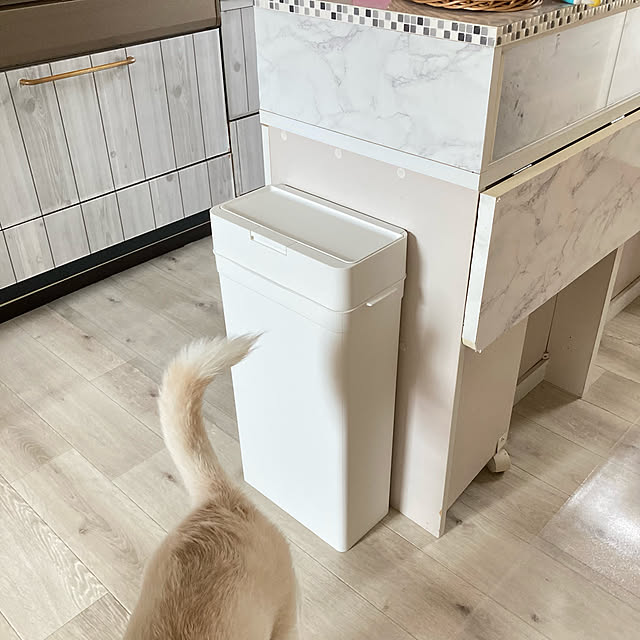 ruruさんの実例写真
