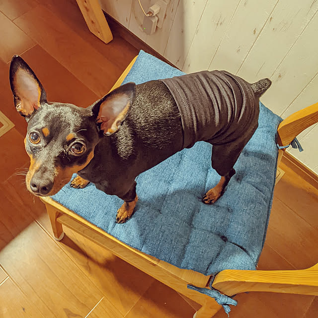 shizuponさんの実例写真