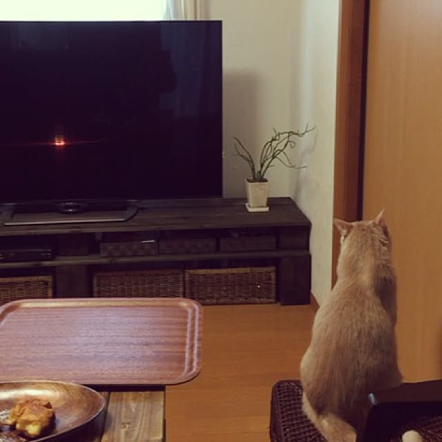 mikan161さんの実例写真