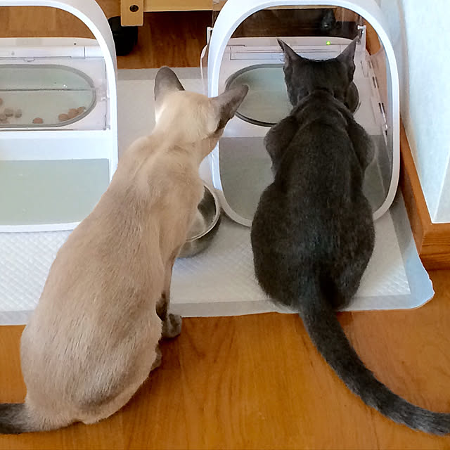mujinekoさんの実例写真