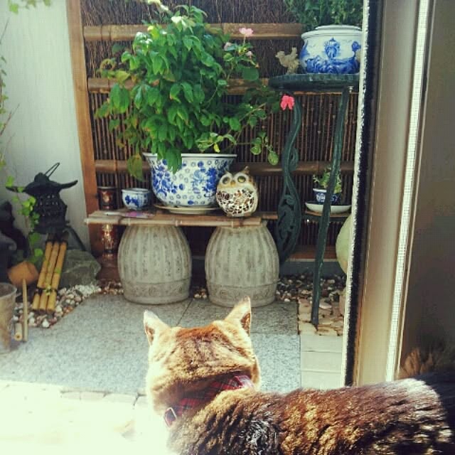 emmyyさんの実例写真
