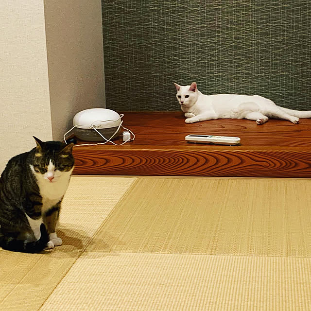 rikorikoさんの実例写真