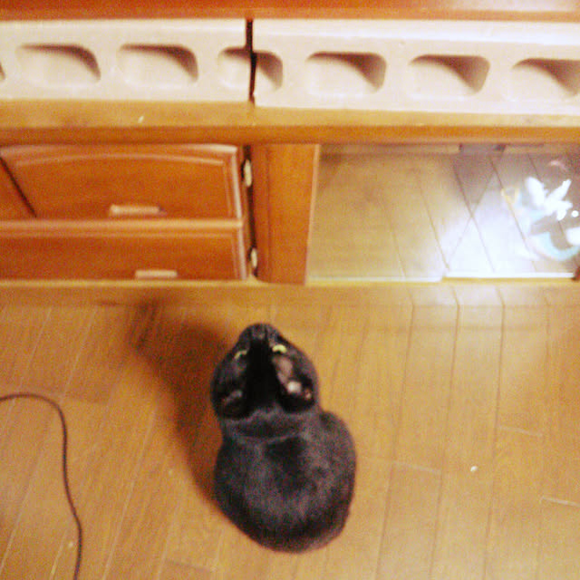 Tomopさんの実例写真