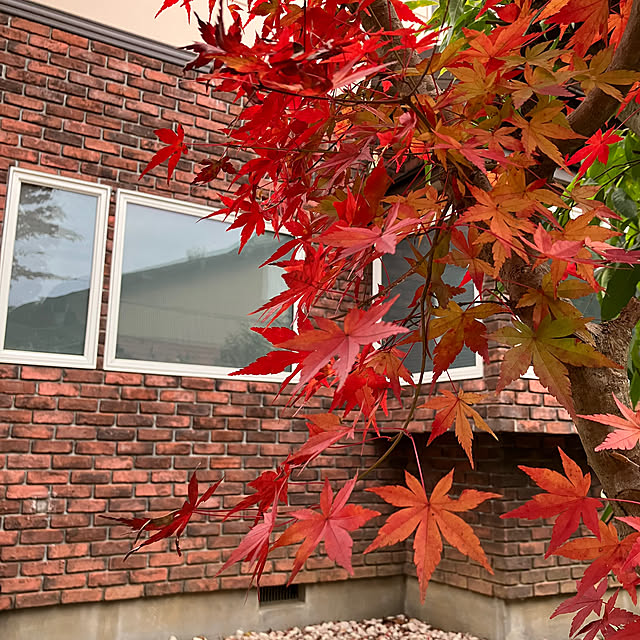 ikubooさんの実例写真