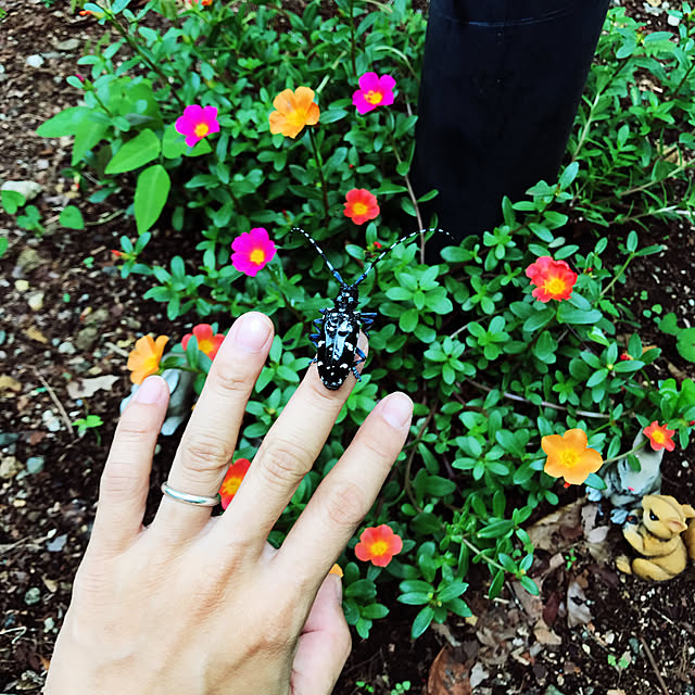 reina0044さんの実例写真
