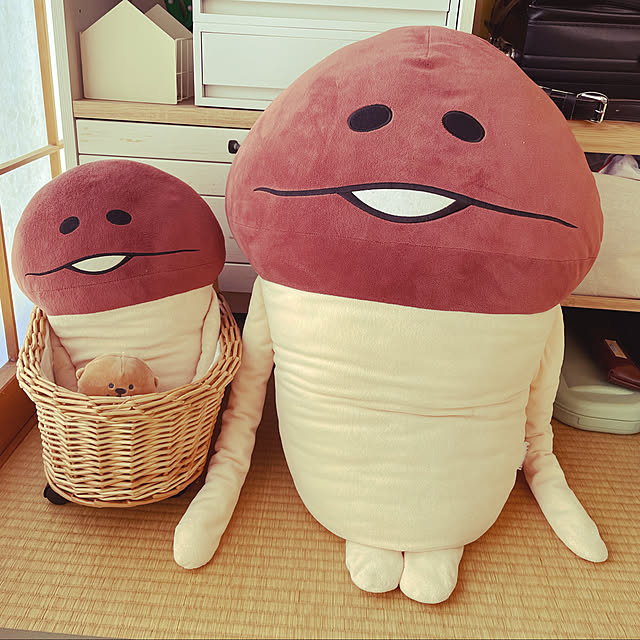 sucoriさんの実例写真
