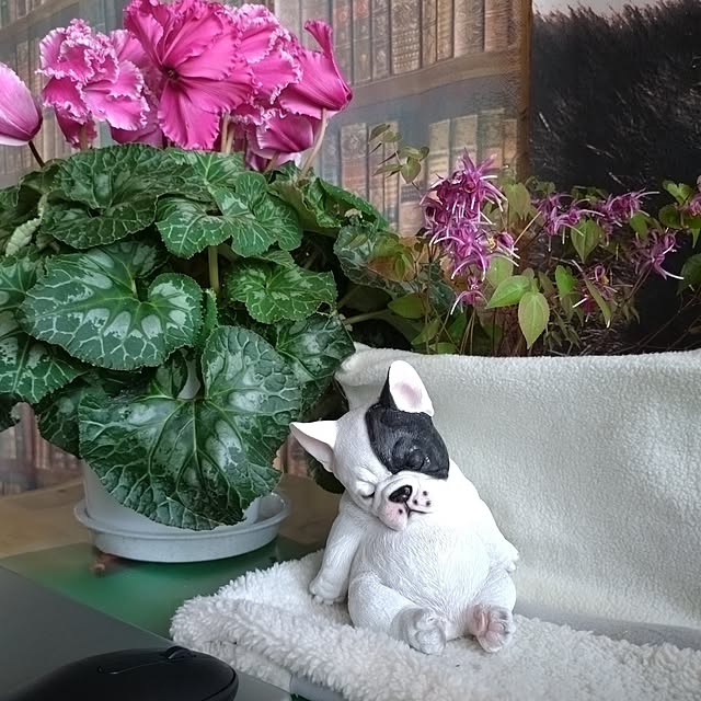 NOAHさんの部屋