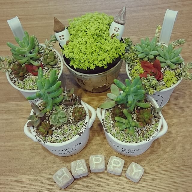 kotonaさんの実例写真