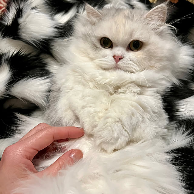 AYUKOさんの実例写真