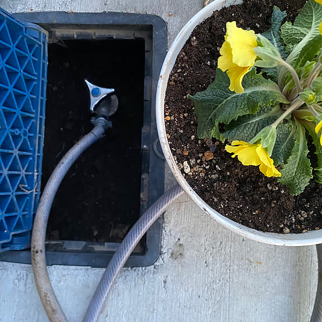 senbei.sakuramochiさんの実例写真