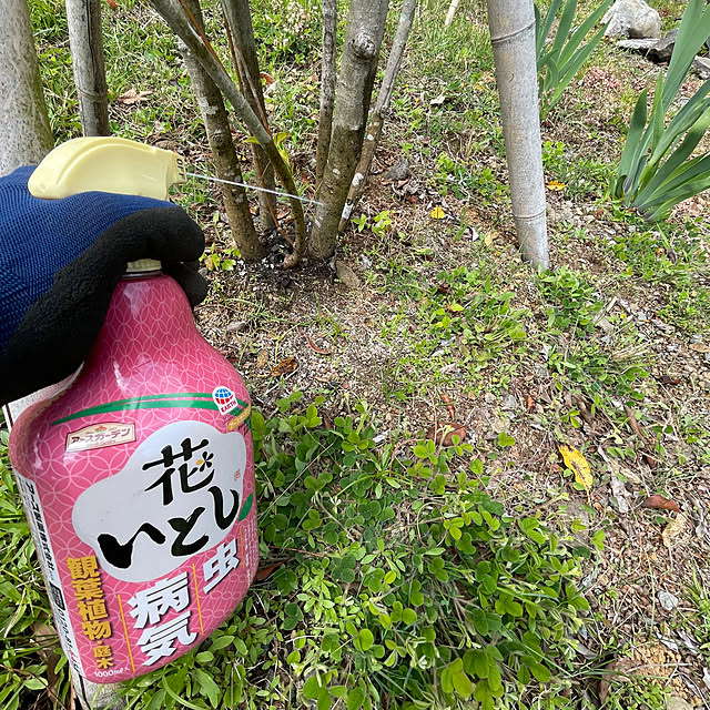 kabu10さんの部屋