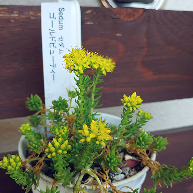 Eriさんの実例写真