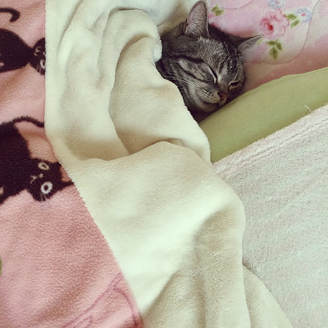richanさんの実例写真