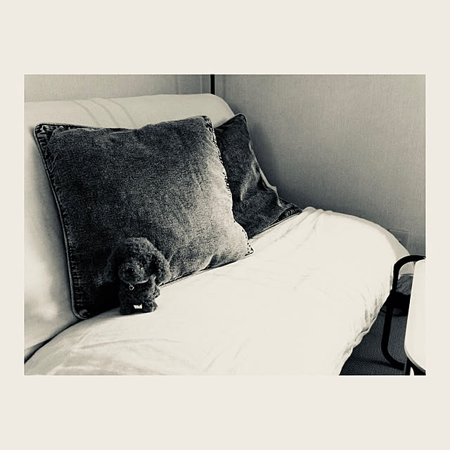 miiksさんの実例写真