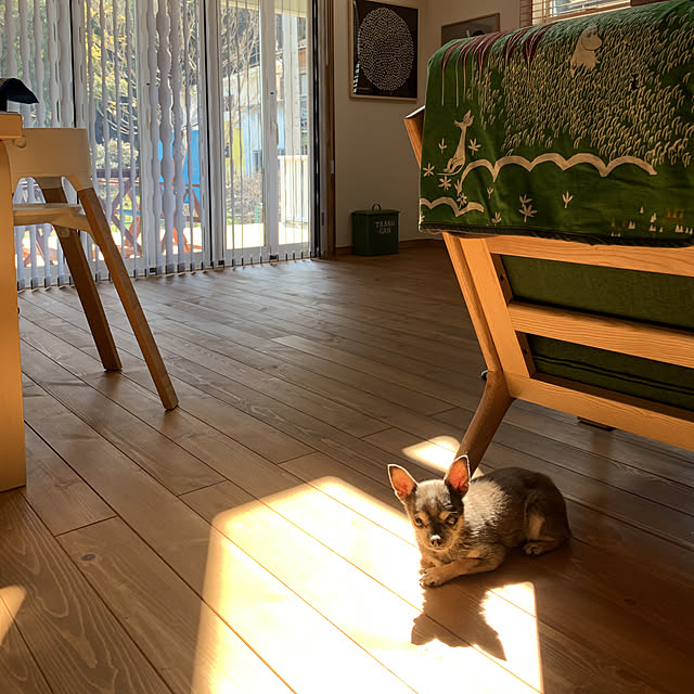 maric323さんの実例写真